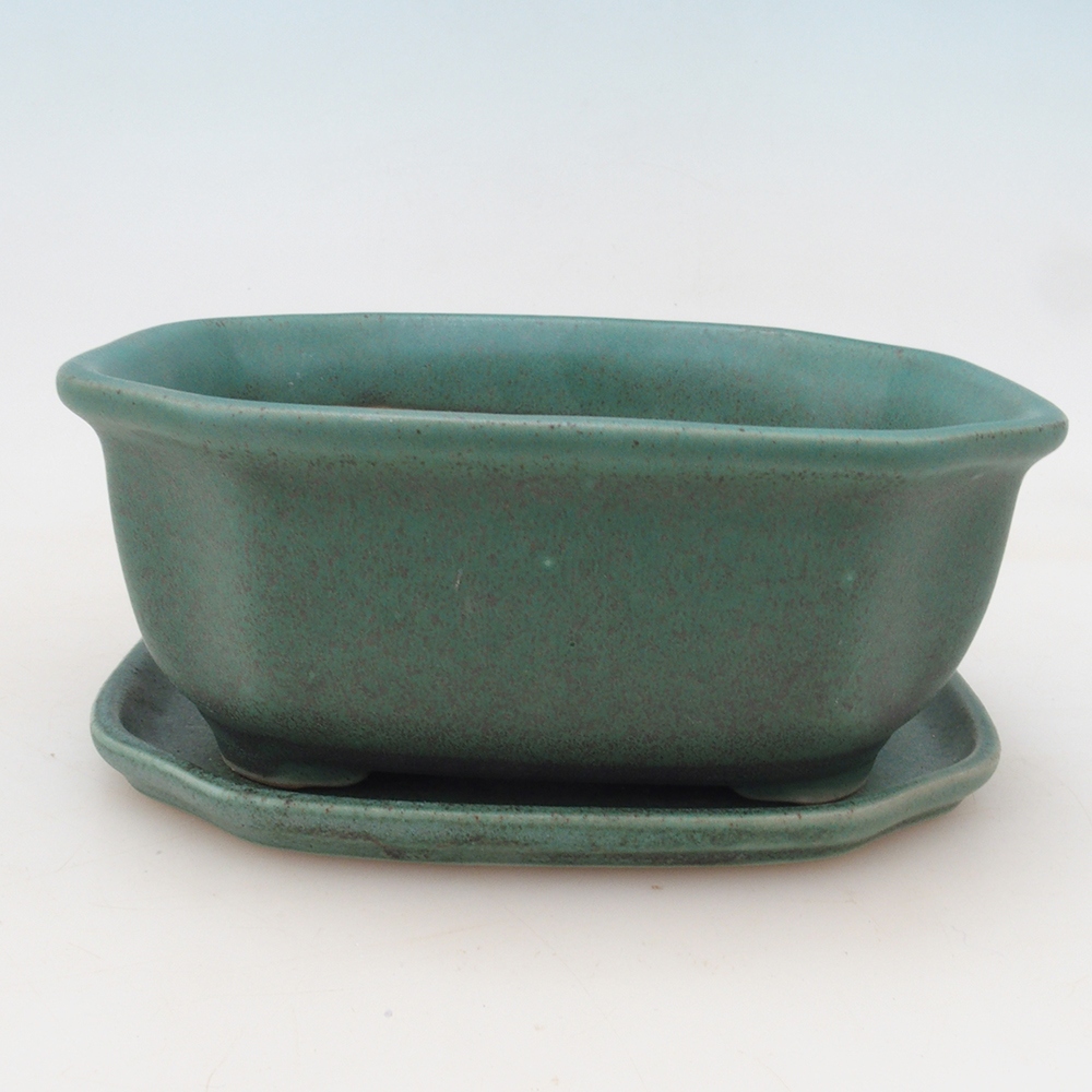 Bol Bonsaï + soucoupe H31 - vert