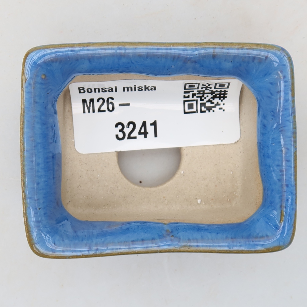 Bol à bonsaï en céramique 6 x 4,5 x 2,5 cm, couleur bleu