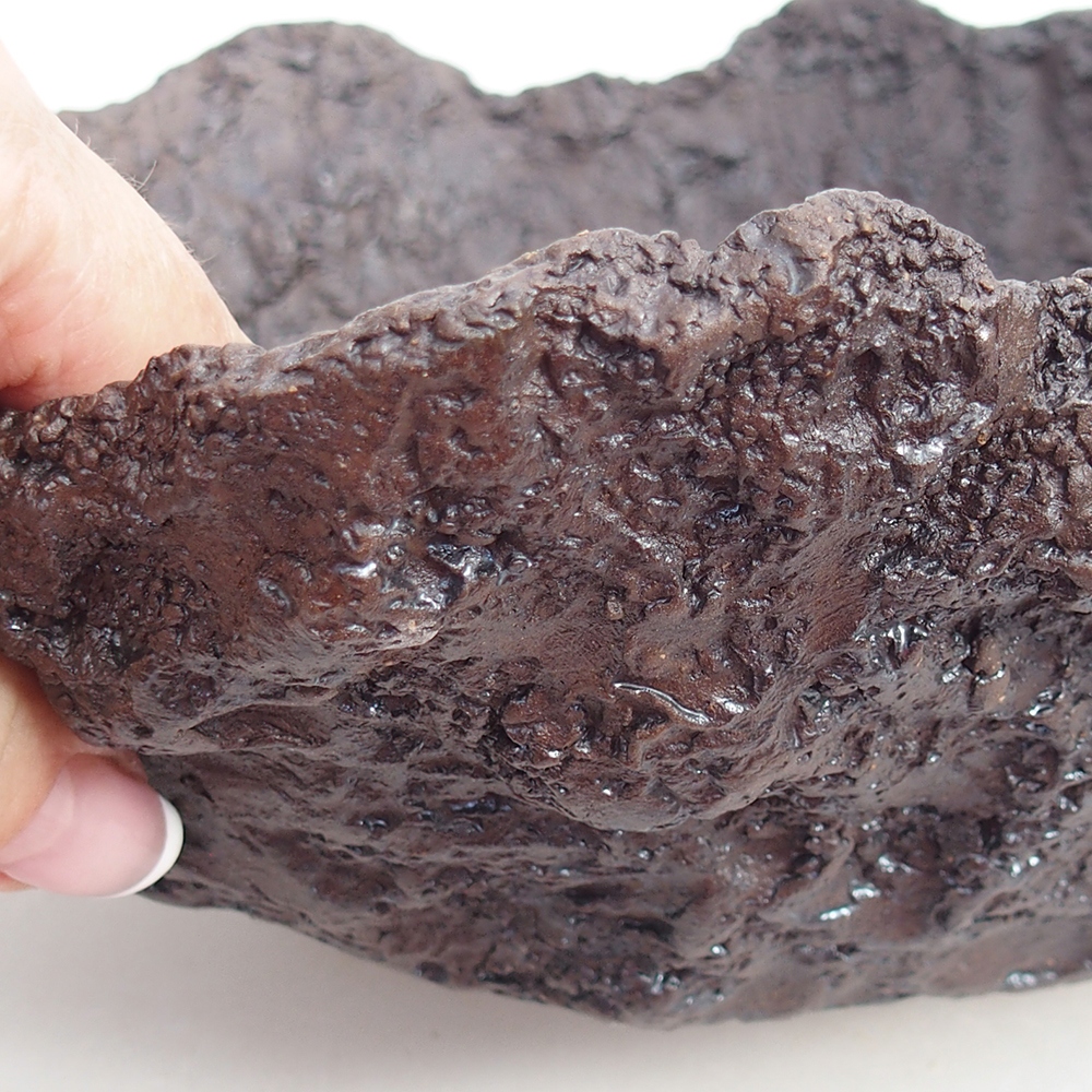 Coquille en céramique 23 x 20 x 18 cm , couleur marron