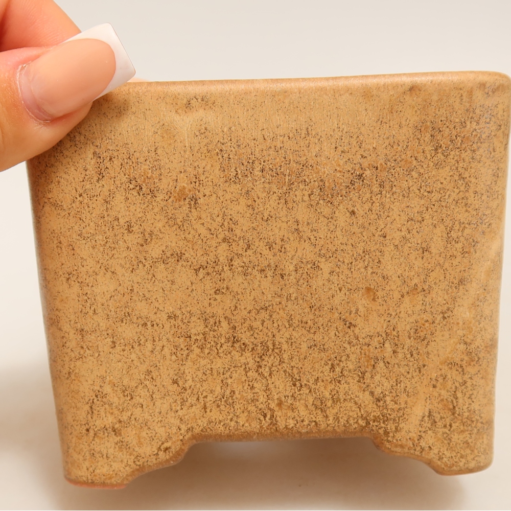 Pot à bonsaï en céramique 10 x 10 x 8,5 cm, couleur beige
