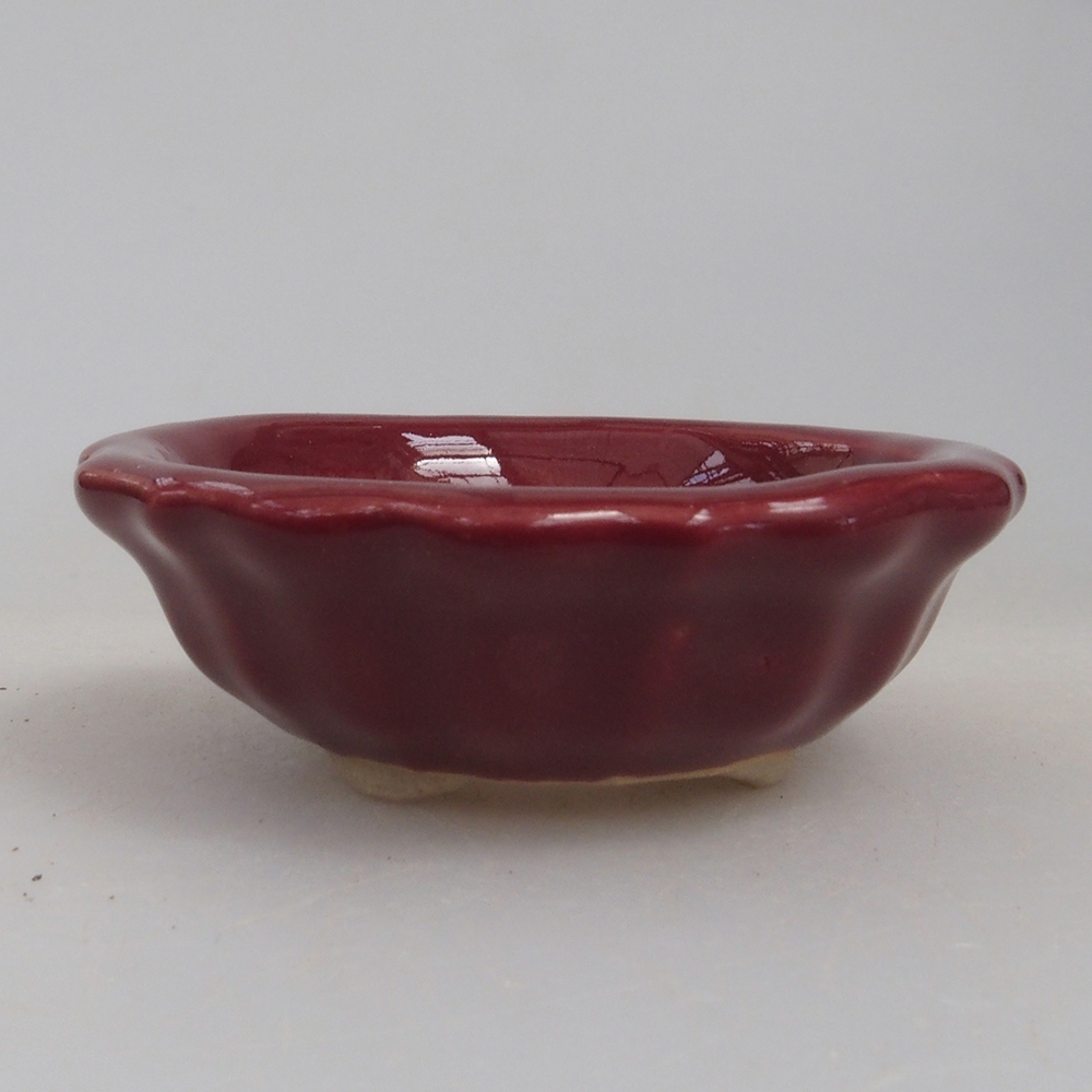 Mini bol bonsaï 5 x 5 x 1,5 cm, couleur bordeaux