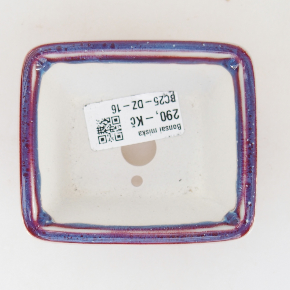 Mini bol bonsaï 8,5 x 7,5 x 4 cm, couleur violet