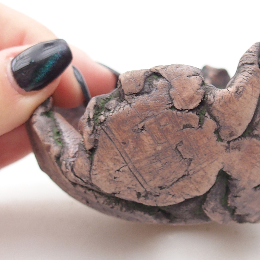 Coquille en céramique 8,5 x 6 x 6,5 cm , couleur verte