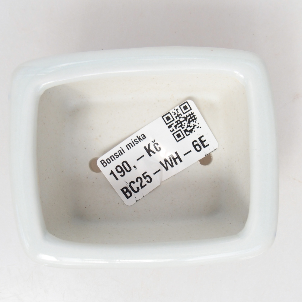 Mini bol bonsaï 8 x 6,5 x 3,5 cm, blanc