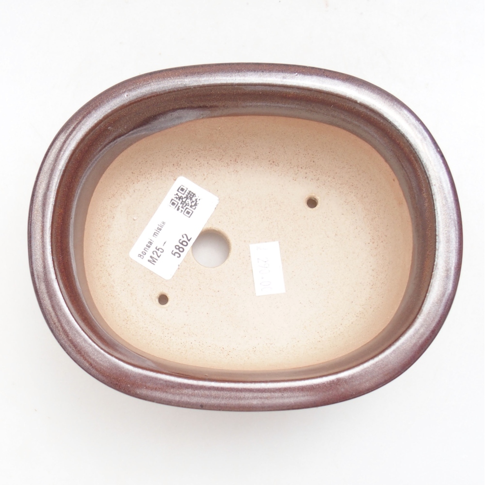 Bol à bonsaï en céramique 22 x 17 x 5 cm, vert