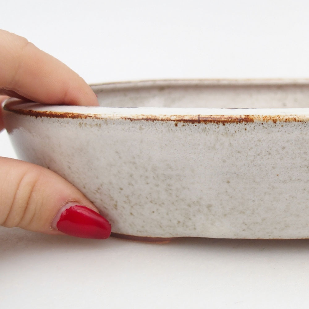 Bol à bonsaï en céramique 22 x 17 x 4 cm, blanc