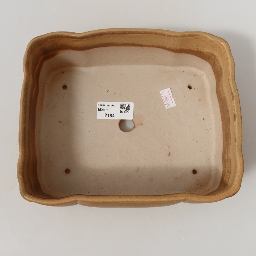 Pot à bonsaï en céramique 20,5 x 17,5 x 7 cm, couleur beige