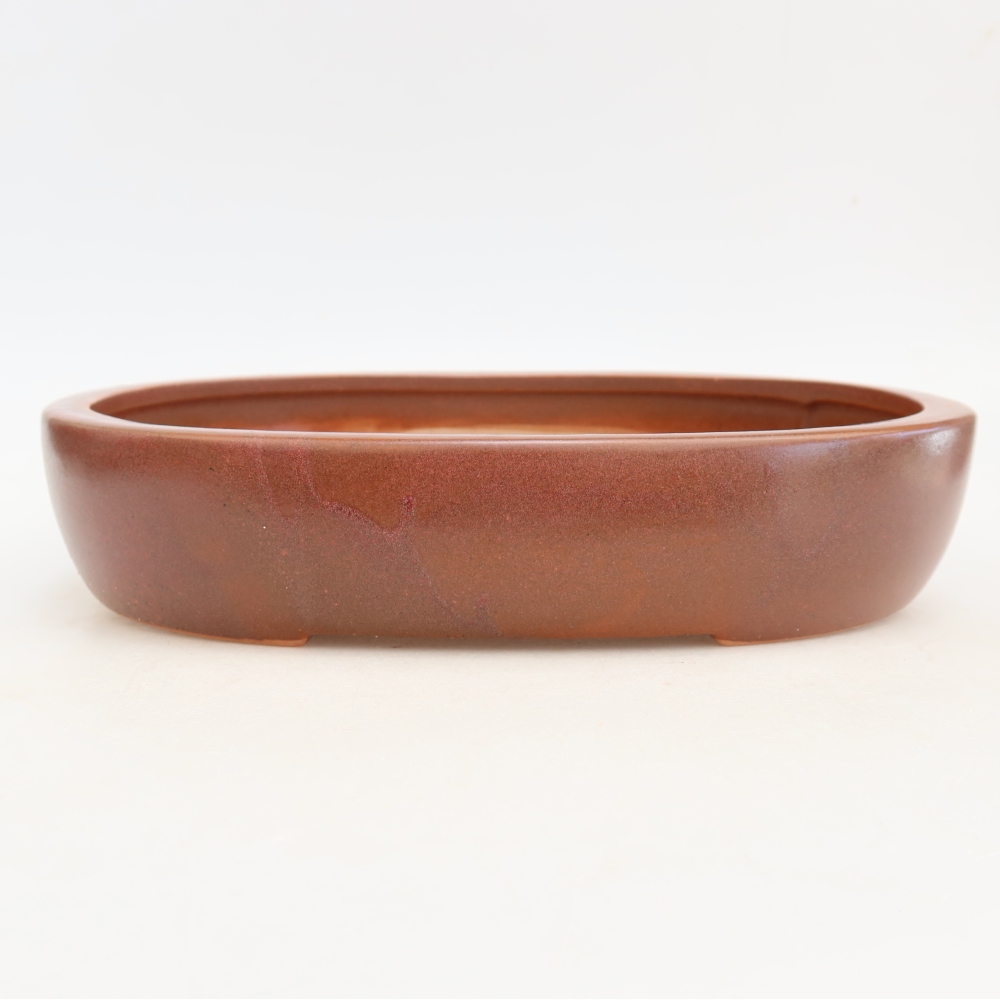 Pot à bonsaï en céramique 27 x 21 x 5,5 cm, couleur bordeaux