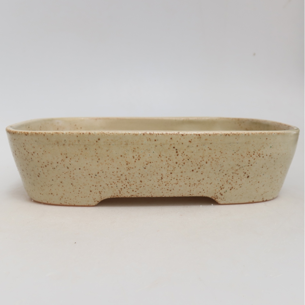 Pot à bonsaï en céramique 23 x 18 x 5,5 cm, couleur beige