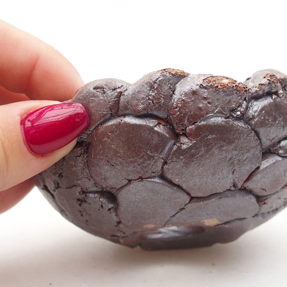 Coquille en céramique 9 x 9 x 4 cm , couleur marron