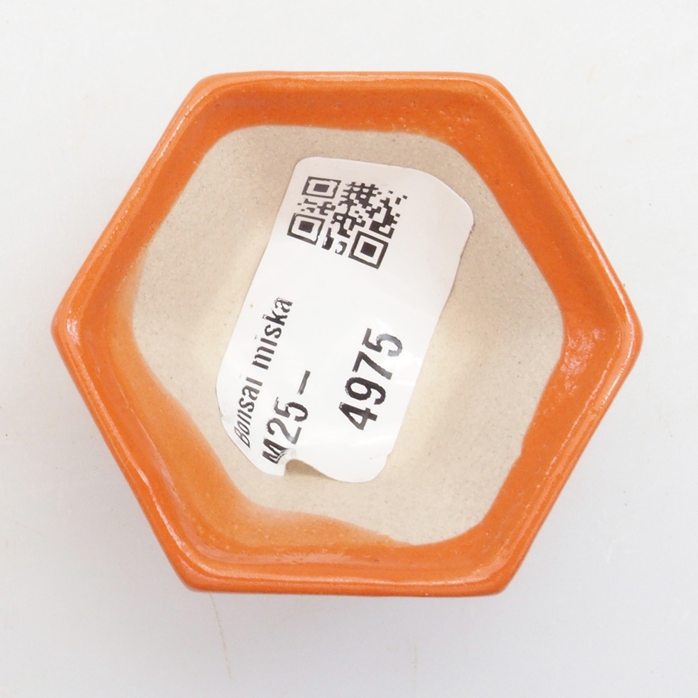 Mini bol bonsaï 5 x 4,5 x 2,5 cm, orange