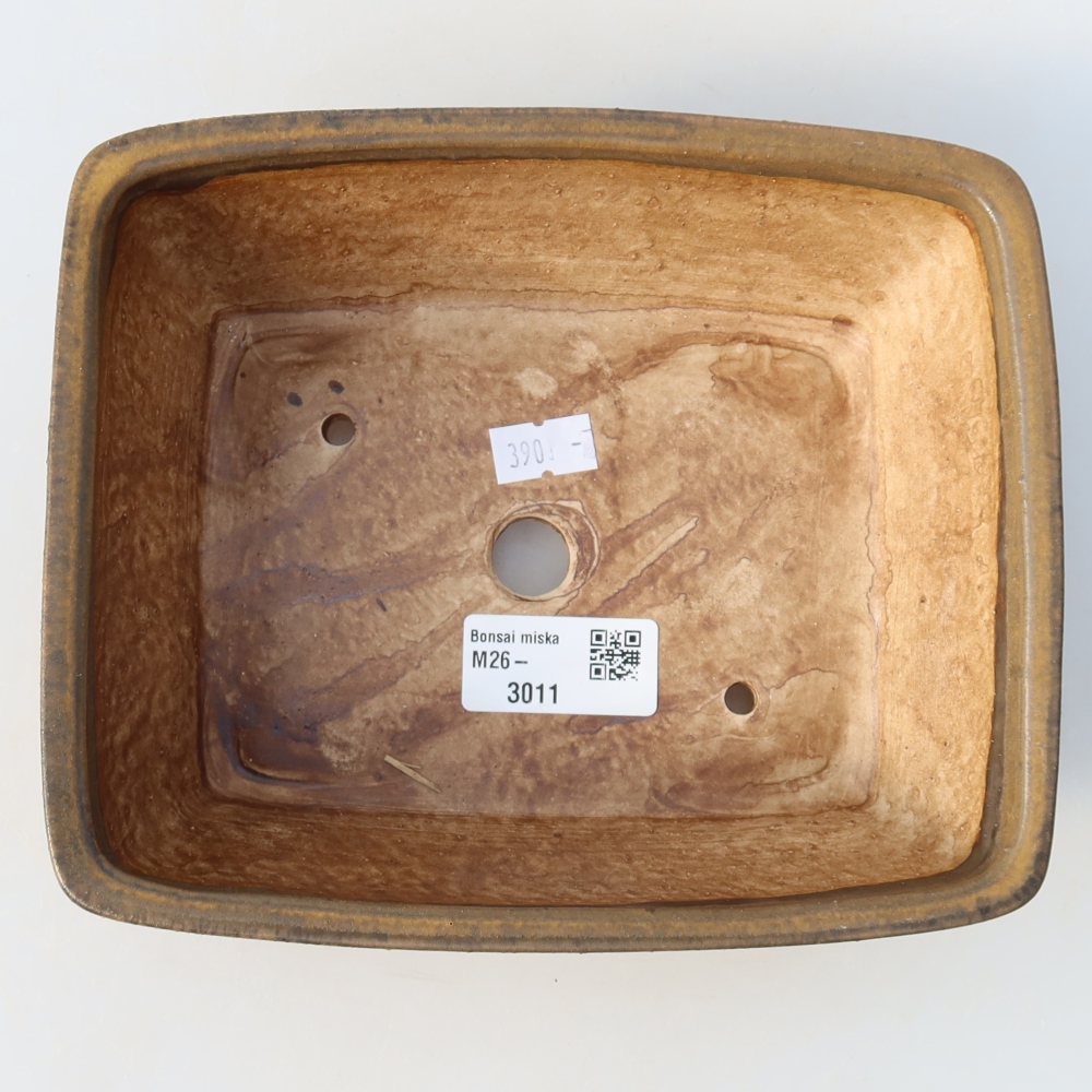 Pot à bonsaï en céramique 18,5 x 15,5 x 6 cm, couleur marron