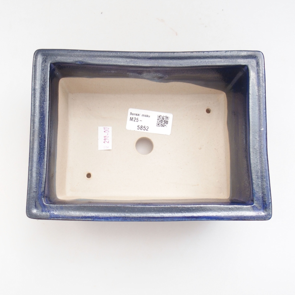 Bol à bonsaï en céramique 22 x 17 x 5 cm, vert