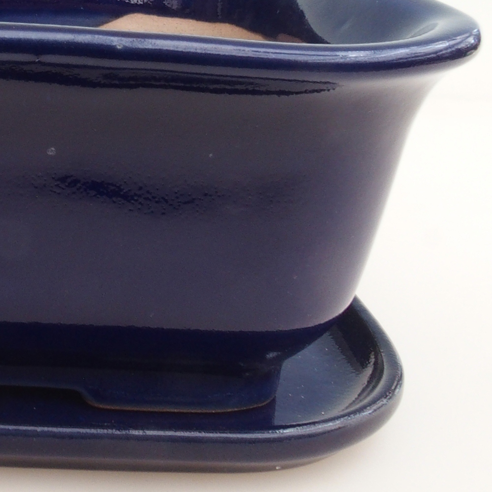 Bol Bonsaï + soucoupe H36 - 17 x 15 x 7,5 cm - bleu