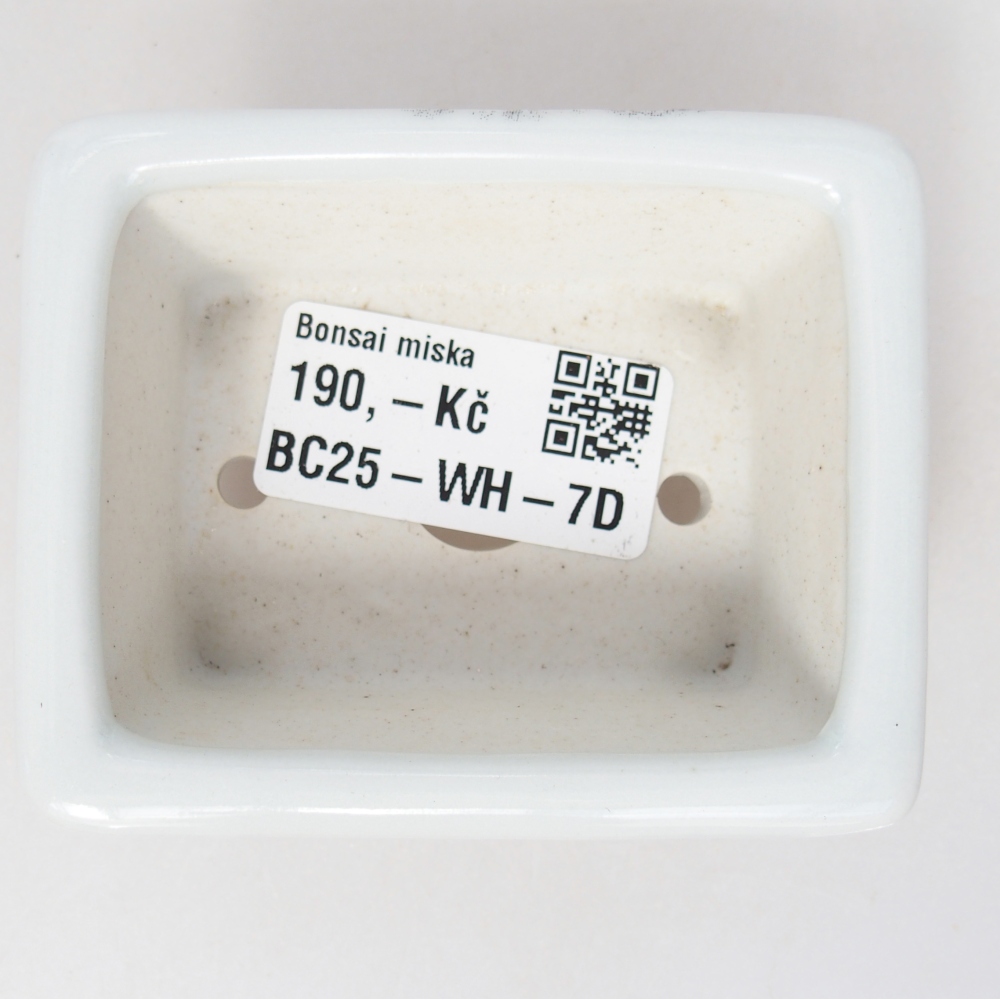 Mini bol bonsaï 8 x 6 x 3 cm, blanc