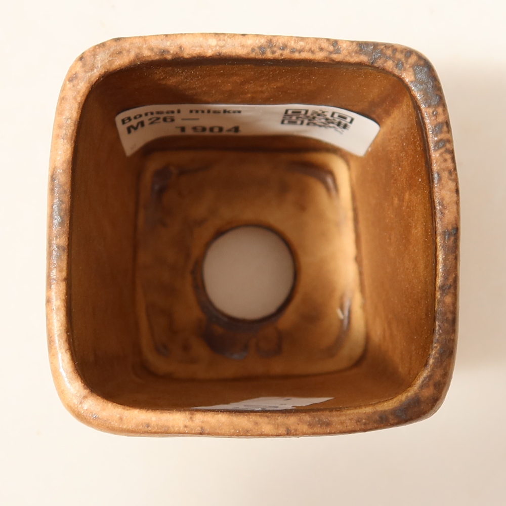 Pot à bonsaï en céramique 5 x 5 x 6,5 cm, couleur rose