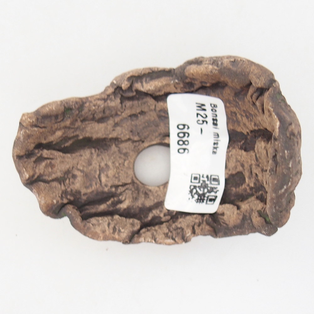 Coquille en céramique 8 x 5,5 x 7 cm , couleur verte