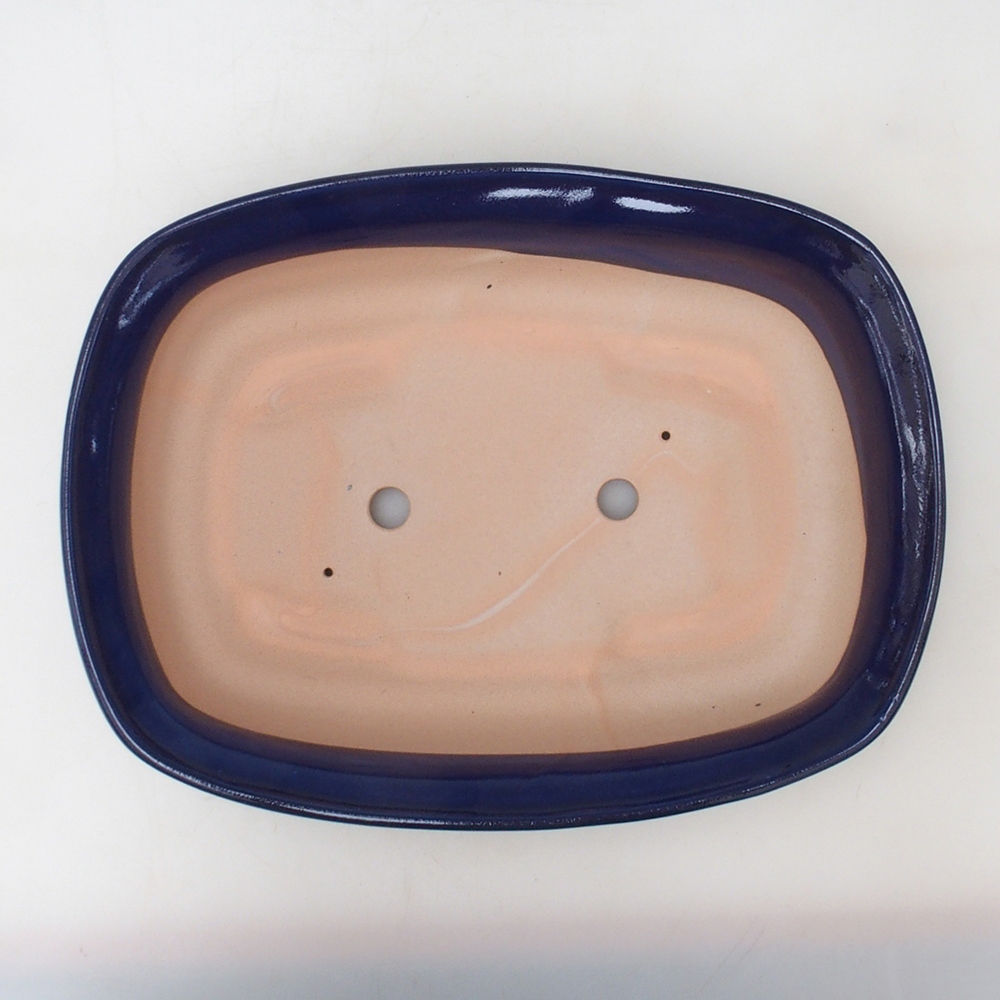 Coupe bonsaï H10 - 37 x 28 x 9 cm - bleu