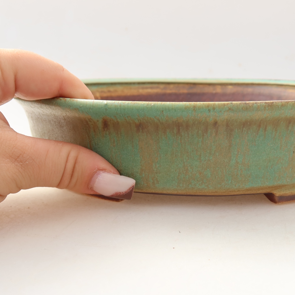 Bol à bonsaï en céramique 21 x 19 x 5 cm, vert
