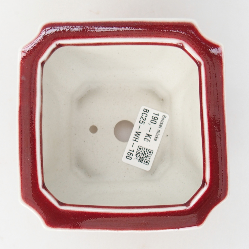Bol à bonsaï en céramique 11 x 11 x 7 cm, couleur rouge