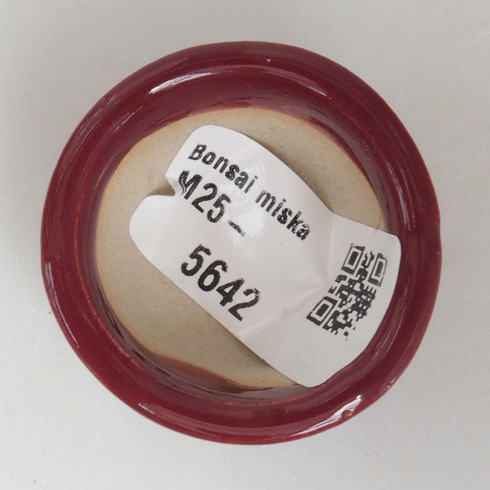 Mini bol bonsaï 4 x 4 x 2 cm, bordeaux