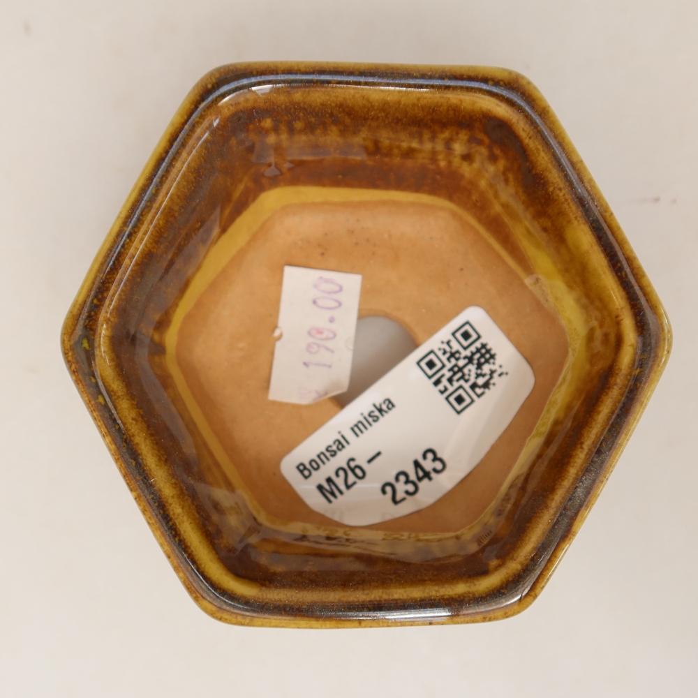Pot à bonsaï en céramique 7,5 x 7 x 4 cm, couleur brun-jaune