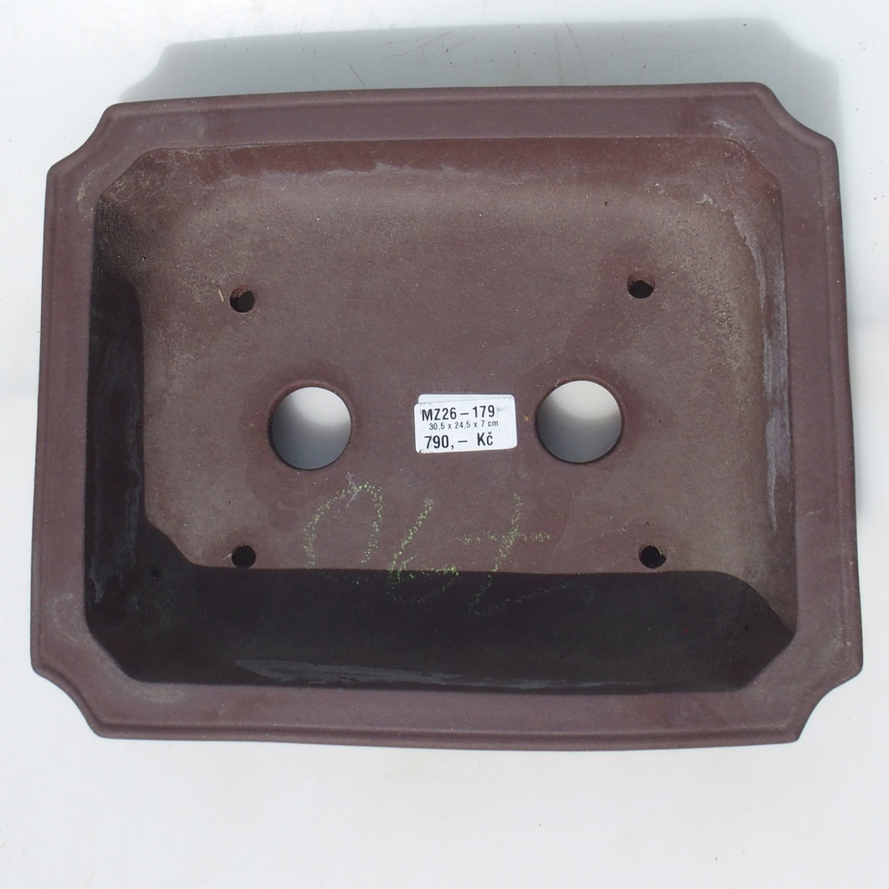 Bol pour bonsaï 30,5 x 24,5 x 7 cm bouleau brun