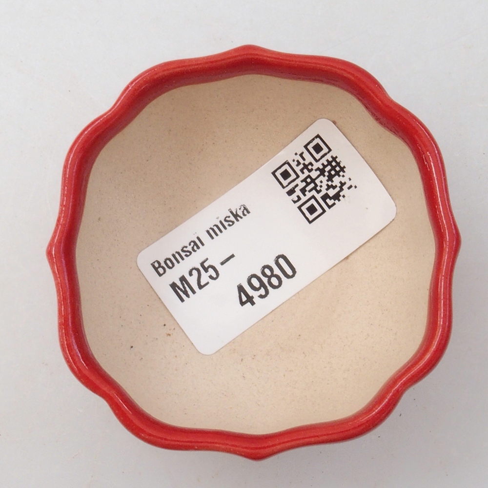Mini bol bonsaï 6 x 5,5 x 2,5 cm, couleur rouge