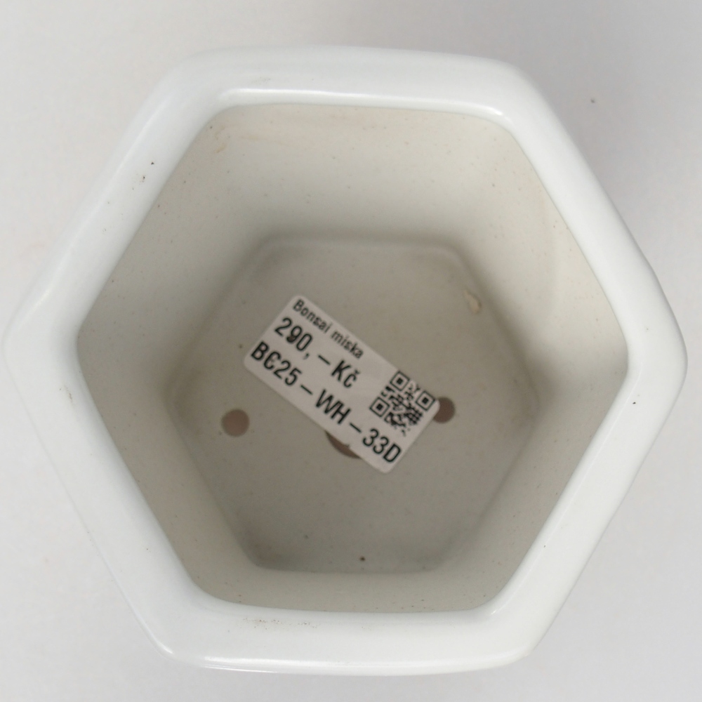 Bol à bonsaï en céramique 10,5 x 9,5 x 9 cm, couleur blanc