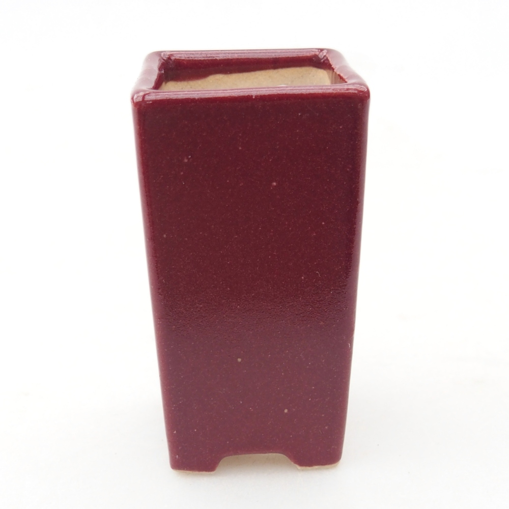 Mini bol bonsaï 3 x 3 x 5,5 cm, bordeaux
