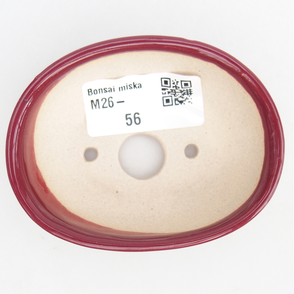 Mini bol bonsaï 8 x 6 x 2,5 cm, bordeaux