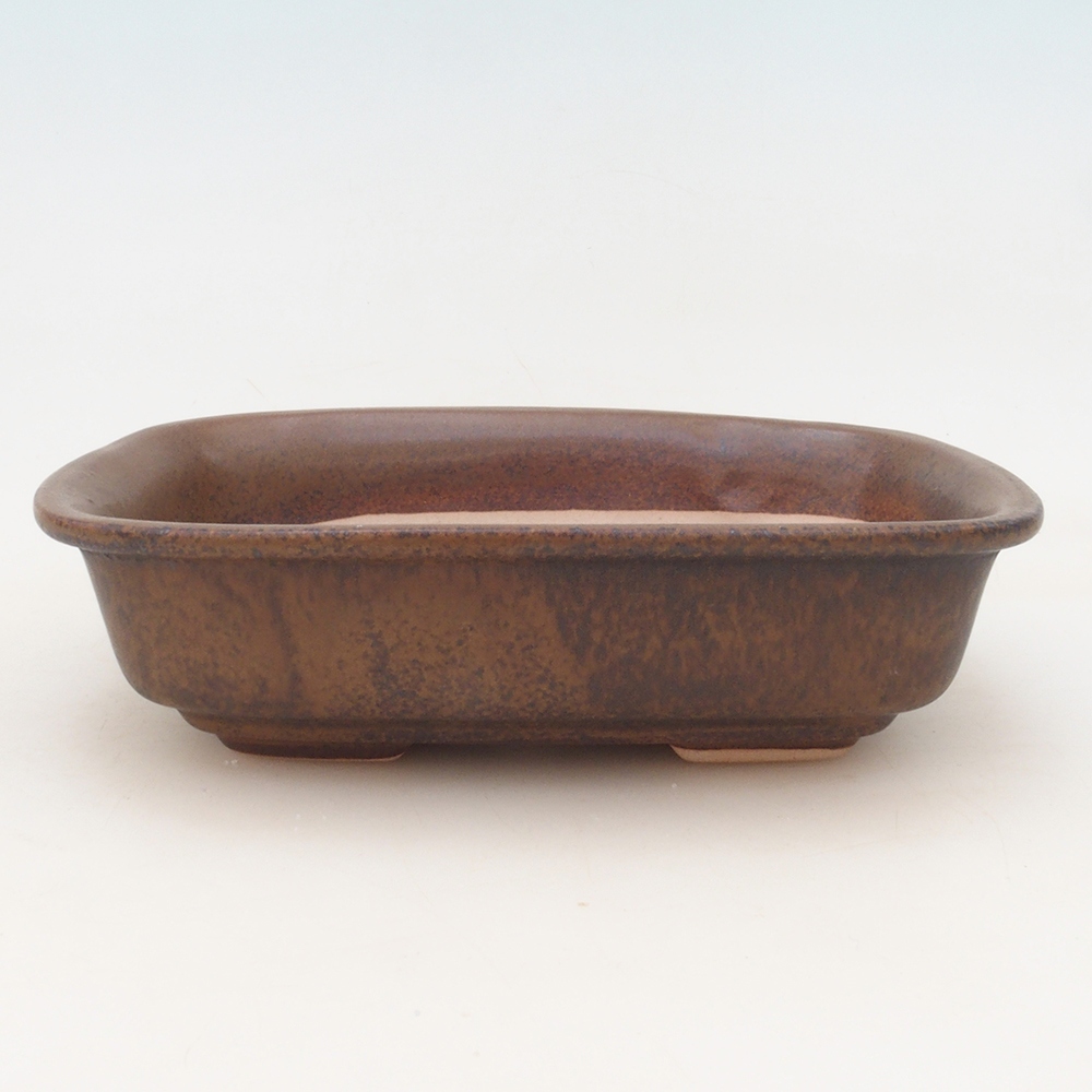 Bol Bonsaï + soucoupe H02 - brun