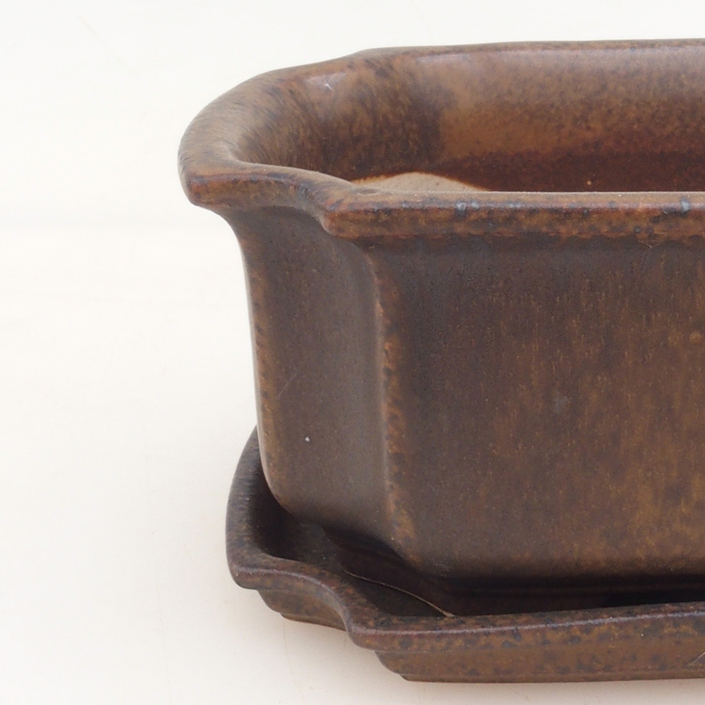 Bol Bonsaï + soucoupe H01 - brun