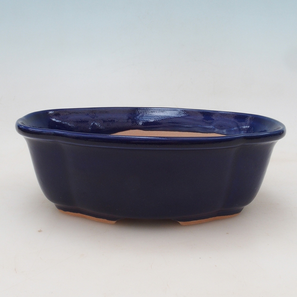Coupe Bonsaï H75 - 19 x 14 x 6,5 cm - bleu