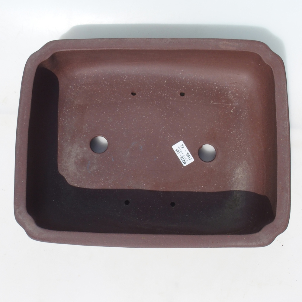 Bol pour bonsaï 41,5 x 32 x 10,5 cm bouleau brun