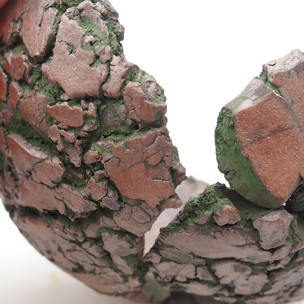 Coquille en céramique 9 x 9,5 x 5,5 cm , couleur verte