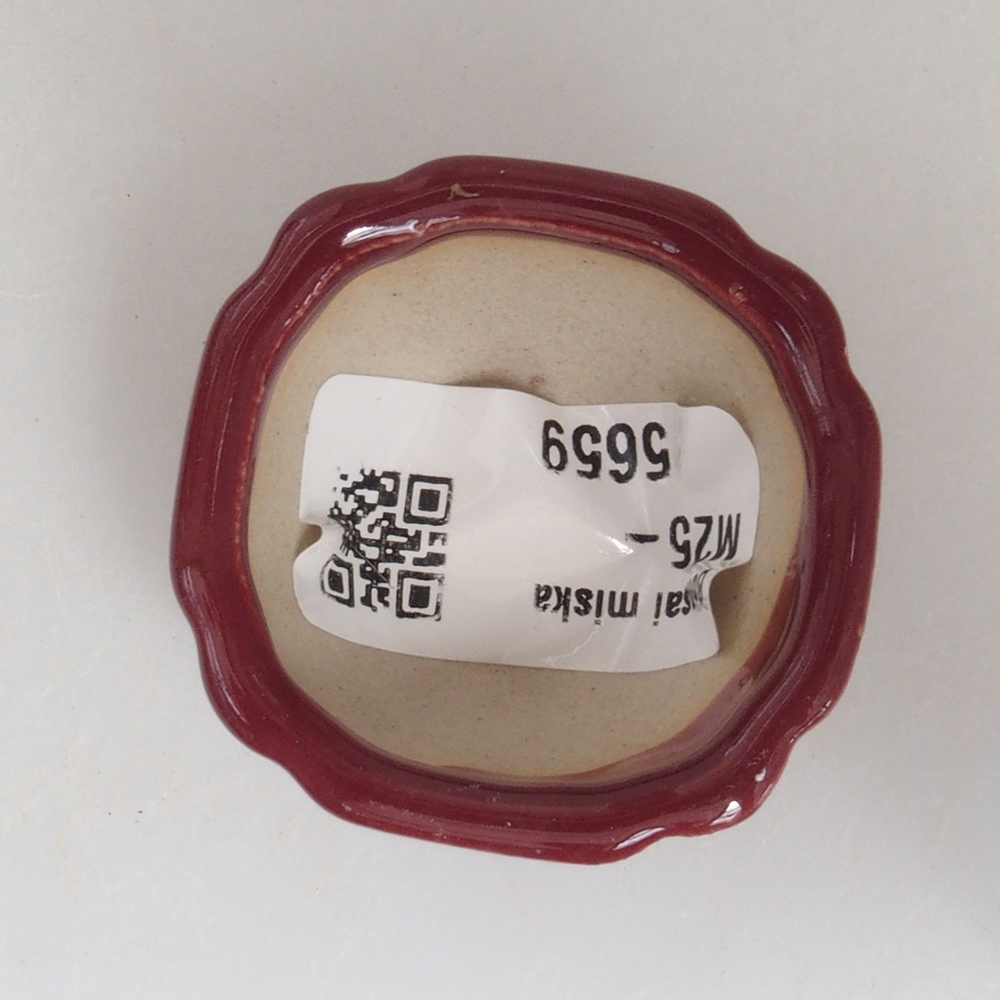 Mini bol bonsaï 4,5 x 4,5 x 2,5 cm, bordeaux