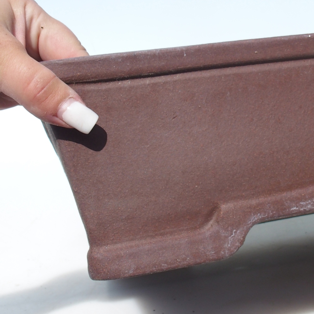 Bol pour bonsaï 40 x 32,5 x 10,5 cm bouleau brun