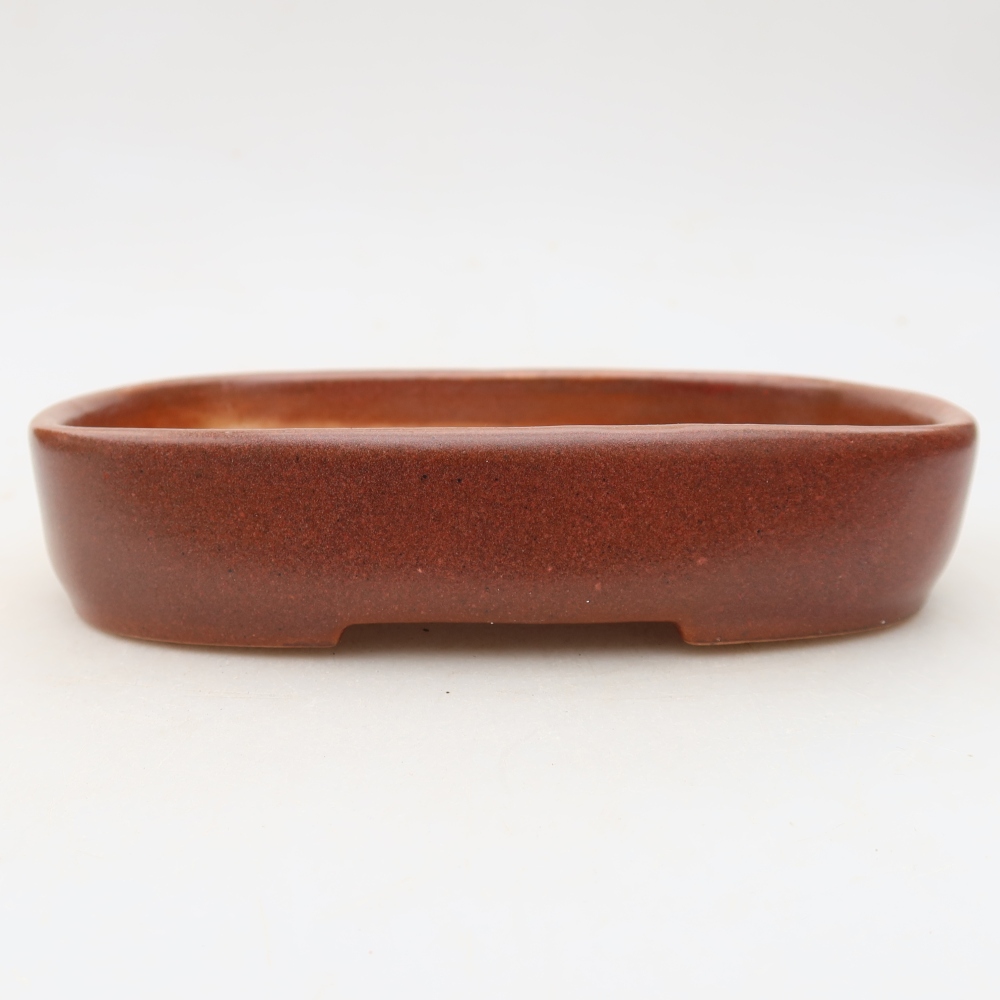 Pot à bonsaï en céramique 16 x 11 x 3,5 cm, couleur bordeaux