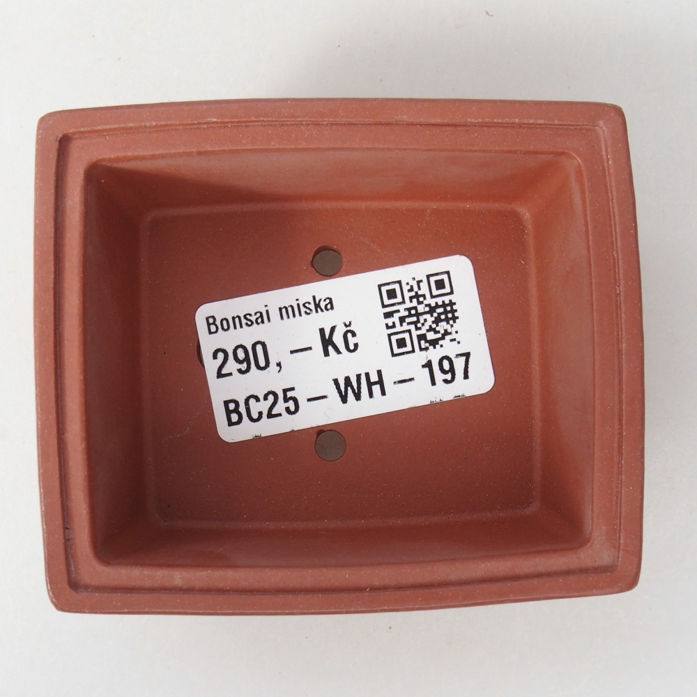 Mini bol bonsaï 7,5 x 6,5 x 3 cm, couleur brique