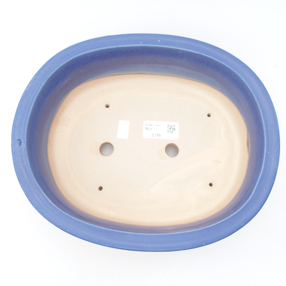 Bol à bonsaï en céramique 26 x 22 x 8 cm, couleur bleu