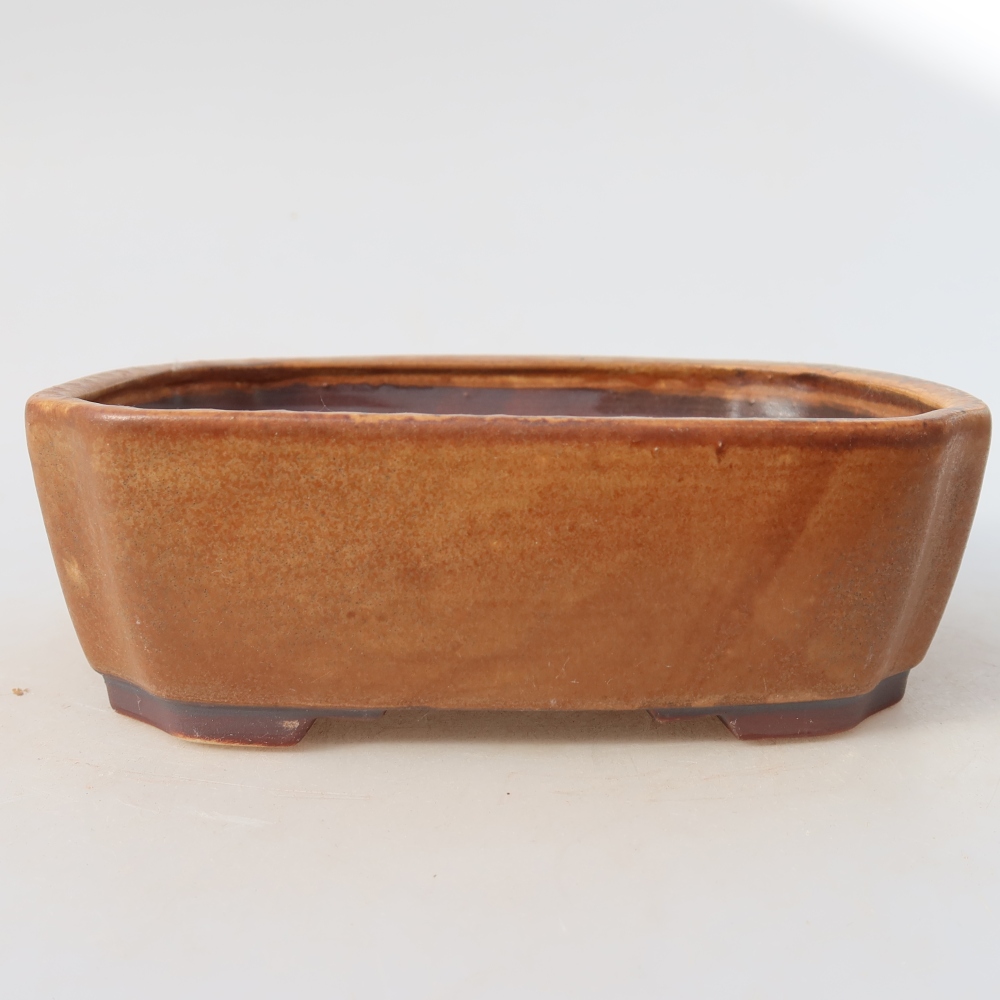 Bol à bonsaï en céramique 17,5 x 14,5 x 5 cm, brun