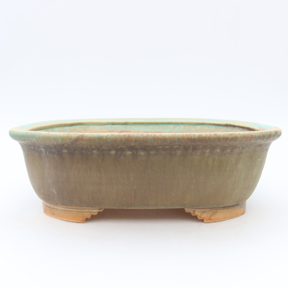 Bol à bonsaï en céramique 25 x 21 x 8 cm, vert