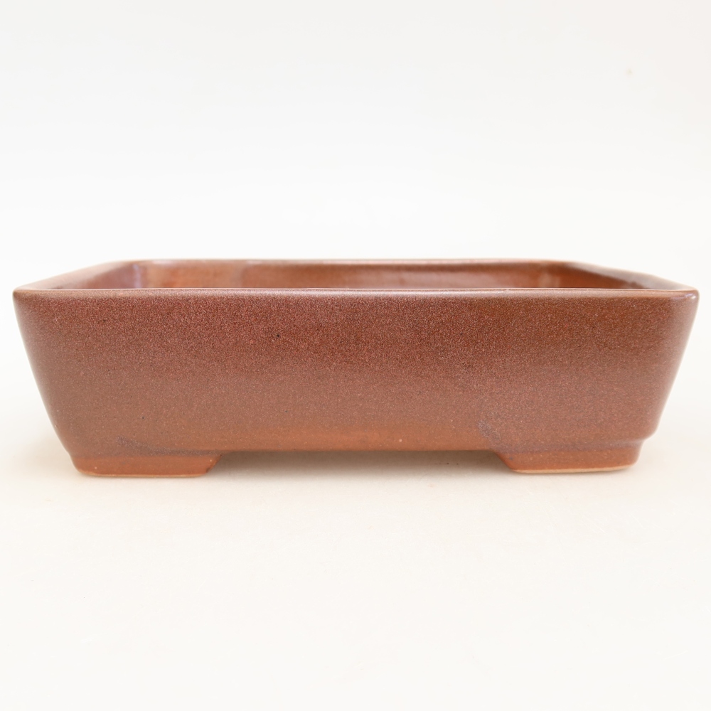 Pot à bonsaï en céramique 18 x 13 x 5 cm, couleur bordeaux