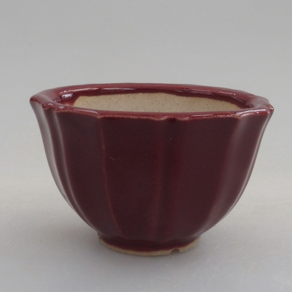 Mini bol bonsaï 5 x 5 x 3 cm, bordeaux