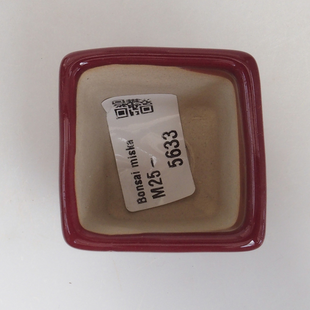 Mini bol bonsaï 4,5 x 4,5 x 4,5 cm, bordeaux