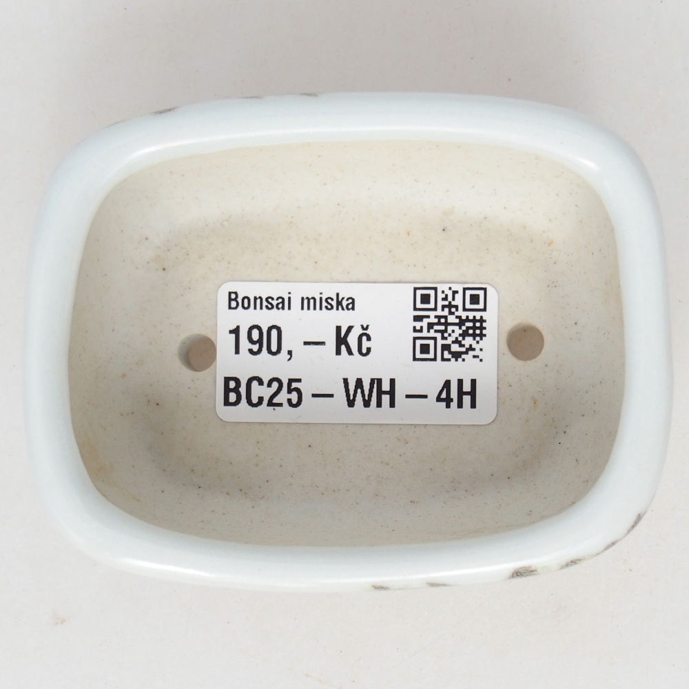 Mini bol bonsaï 8 x 6 x 3 cm, blanc