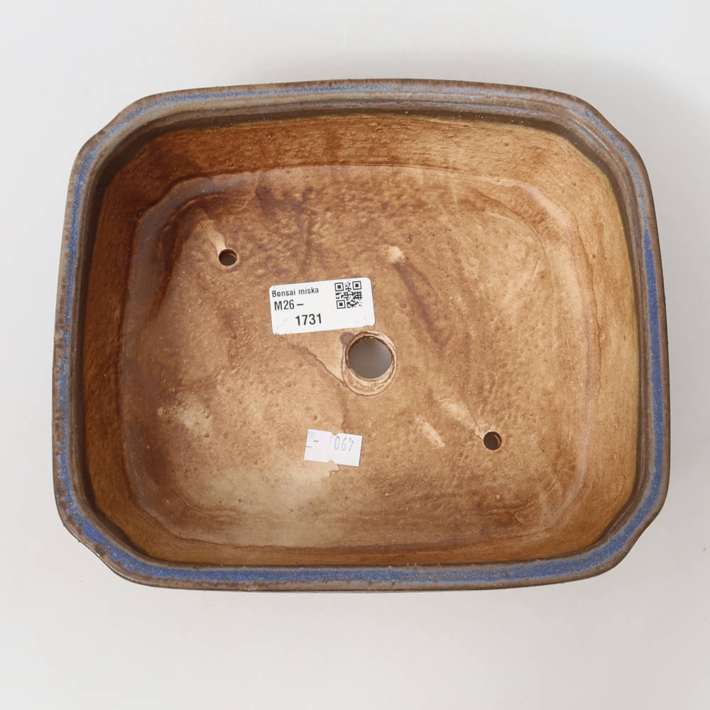 Pot à bonsaï en céramique 21,5 x 18 x 6 cm, couleur bleue
