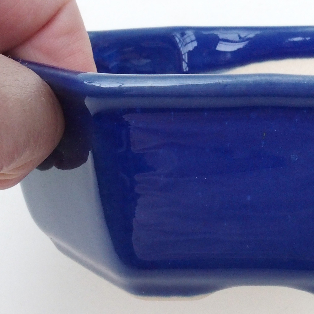 Coupe bonsaï H13 - 12,5 x 12,5 x 4,5 cm - bleu