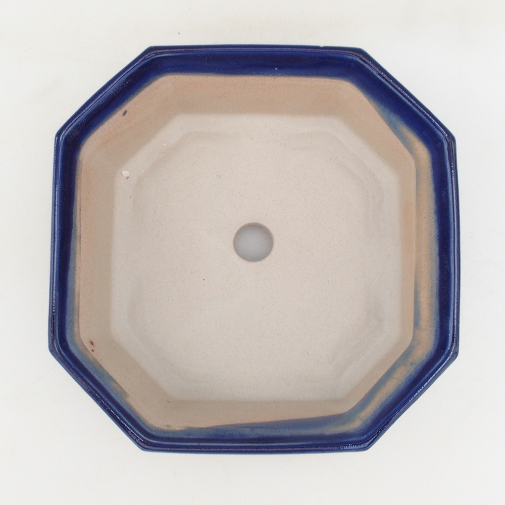 Coupe bonsaï H14 - 17,5 x 17,5 x 6 - bleu